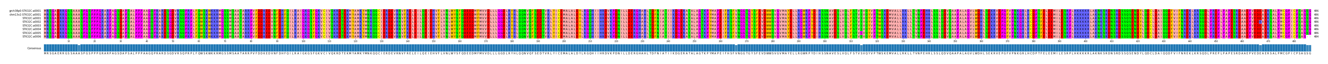 Multiple Alignments (by translate haplotype frequency)