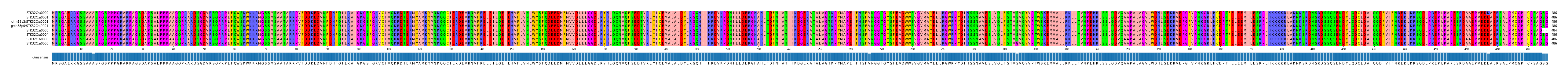 Multiple Alignments (by translate haplotype similarity)