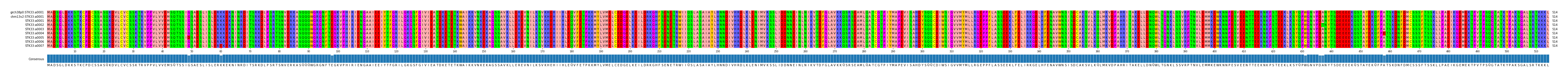 Multiple Alignments (by translate haplotype frequency)