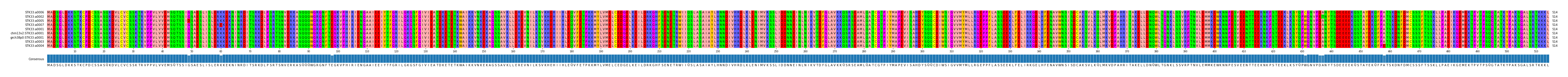 Multiple Alignments (by translate haplotype similarity)