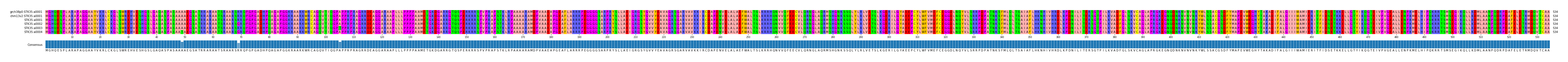 Multiple Alignments (by translate haplotype frequency)