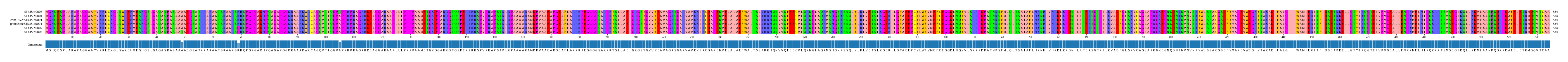 Multiple Alignments (by translate haplotype similarity)