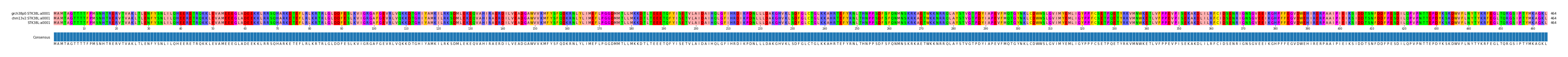 Multiple Alignments (by translate haplotype similarity)