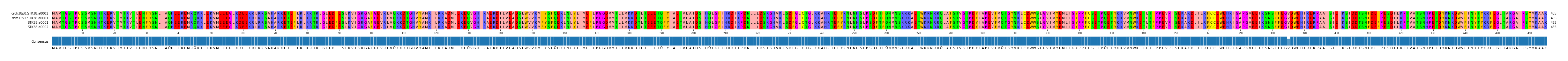 Multiple Alignments (by translate haplotype similarity)