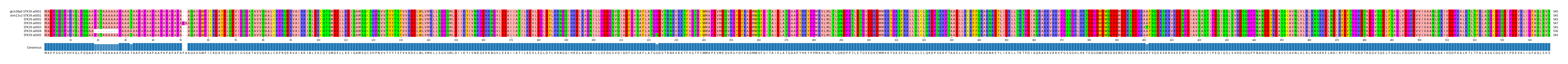 Multiple Alignments (by translate haplotype frequency)