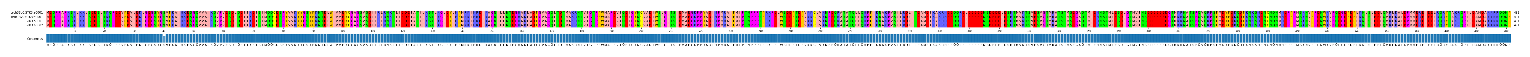 Multiple Alignments (by translate haplotype similarity)