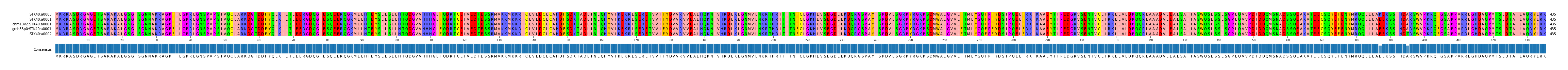 Multiple Alignments (by translate haplotype similarity)