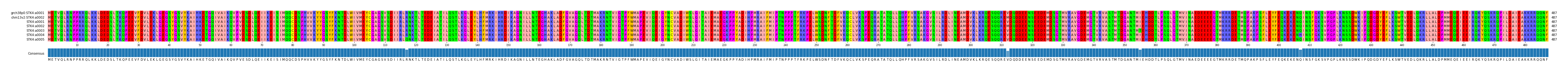 Multiple Alignments (by translate haplotype frequency)