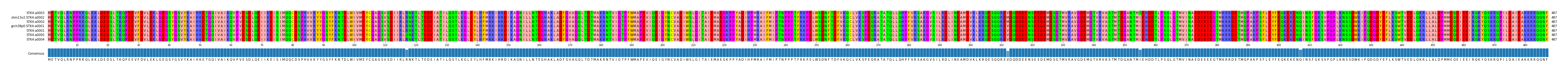 Multiple Alignments (by translate haplotype similarity)