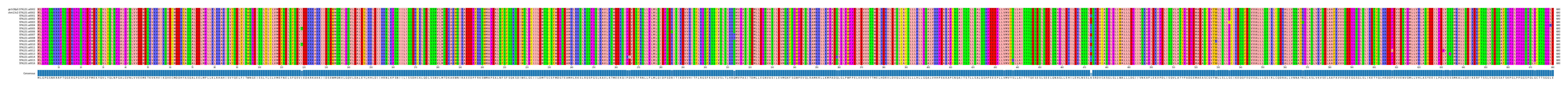 Multiple Alignments (by translate haplotype frequency)