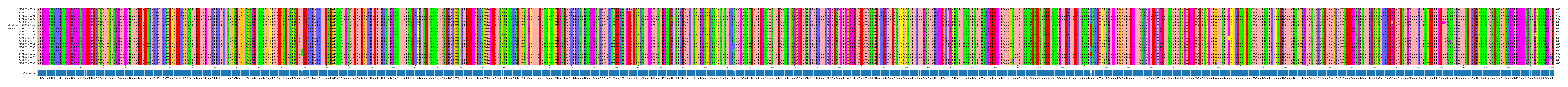 Multiple Alignments (by translate haplotype similarity)