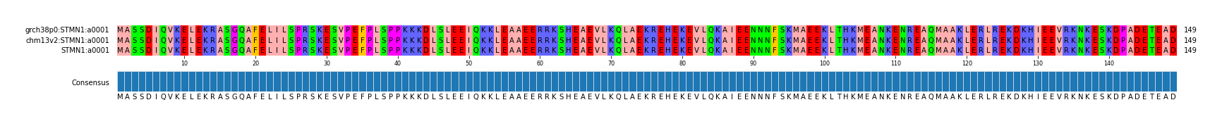 Multiple Alignments (by translate haplotype frequency)