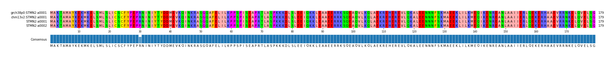 Multiple Alignments (by translate haplotype similarity)