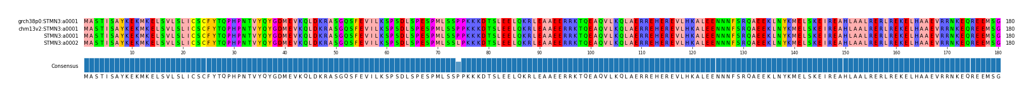 Multiple Alignments (by translate haplotype similarity)