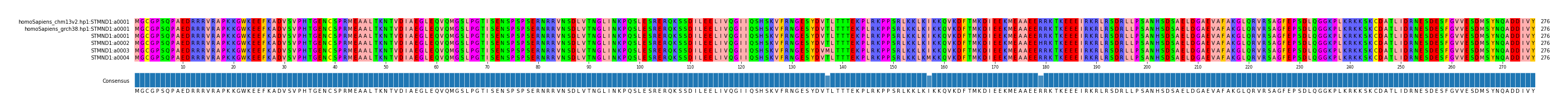 Multiple Alignments (by translate haplotype frequency)