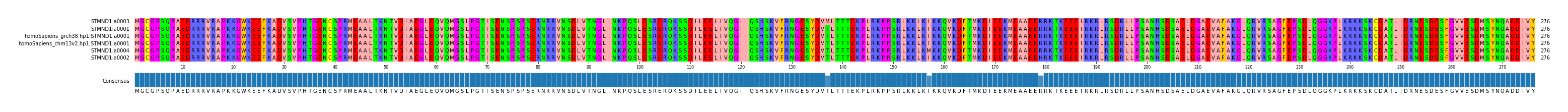 Multiple Alignments (by translate haplotype similarity)