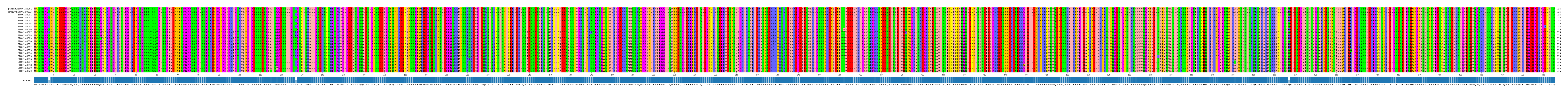 Multiple Alignments (by translate haplotype frequency)