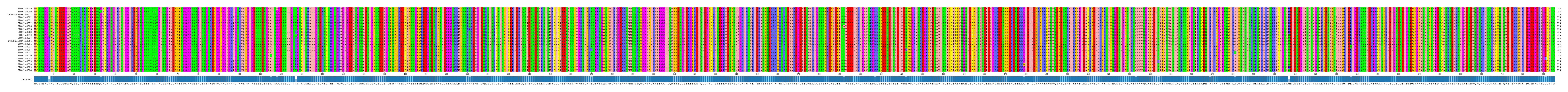 Multiple Alignments (by translate haplotype similarity)