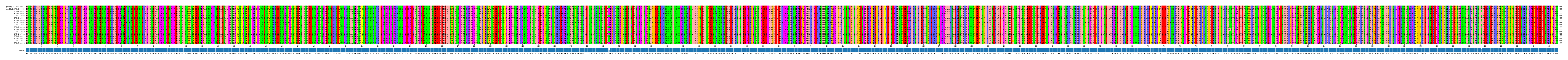 Multiple Alignments (by translate haplotype frequency)