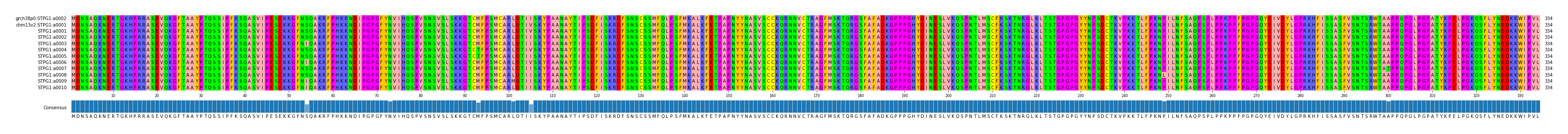 Multiple Alignments (by translate haplotype frequency)