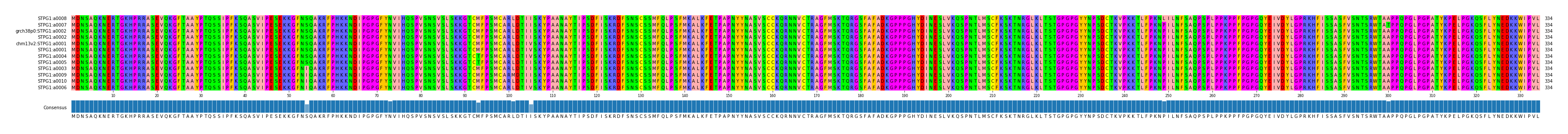 Multiple Alignments (by translate haplotype similarity)