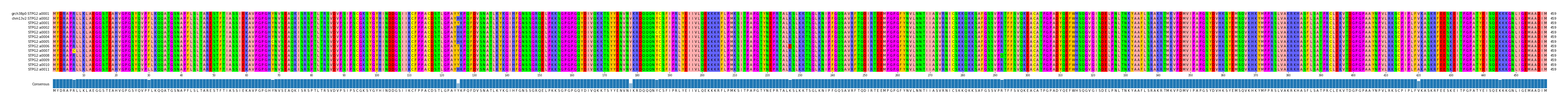 Multiple Alignments (by translate haplotype frequency)