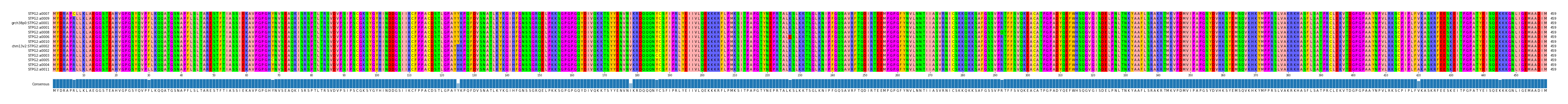Multiple Alignments (by translate haplotype similarity)