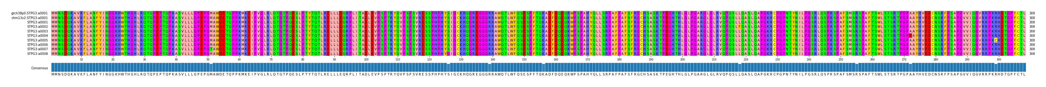 Multiple Alignments (by translate haplotype frequency)