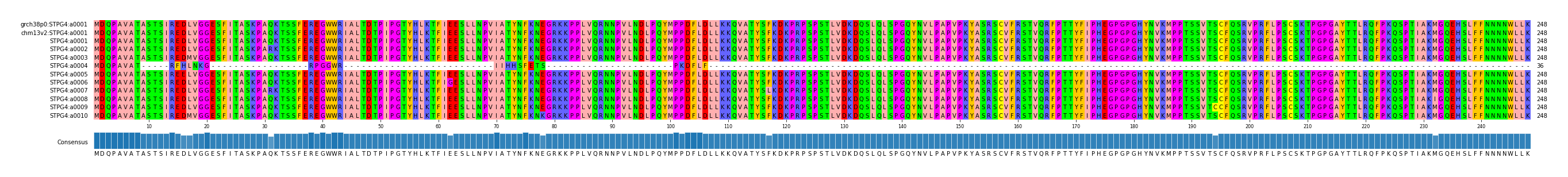 Multiple Alignments (by translate haplotype frequency)