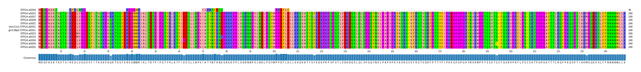 Multiple Alignments (by translate haplotype similarity)