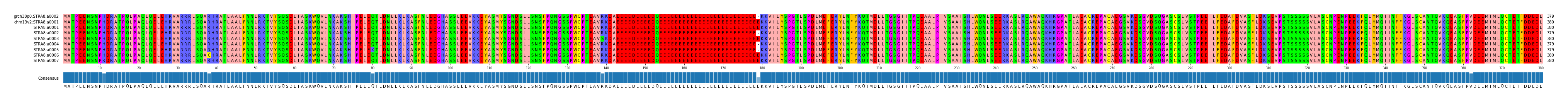 Multiple Alignments (by translate haplotype frequency)