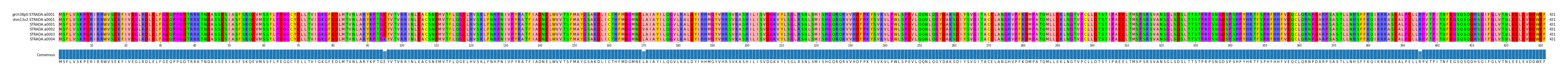 Multiple Alignments (by translate haplotype frequency)