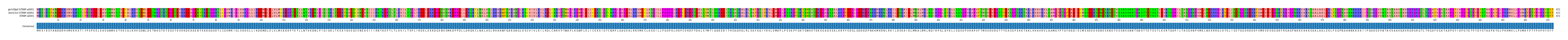 Multiple Alignments (by translate haplotype similarity)
