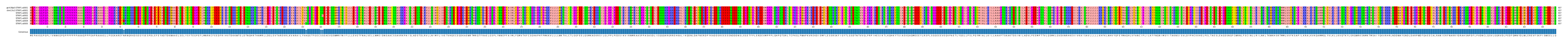 Multiple Alignments (by translate haplotype frequency)