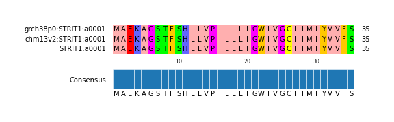 Multiple Alignments (by translate haplotype similarity)