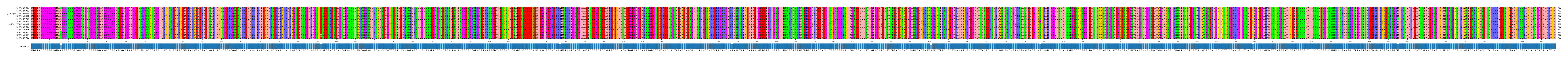 Multiple Alignments (by translate haplotype similarity)