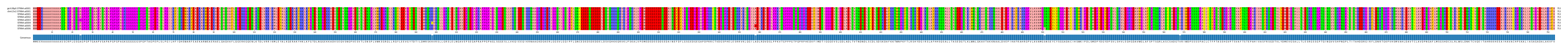 Multiple Alignments (by translate haplotype frequency)