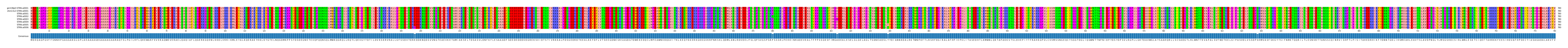 Multiple Alignments (by translate haplotype frequency)