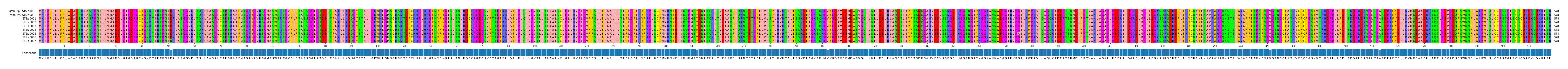 Multiple Alignments (by translate haplotype frequency)
