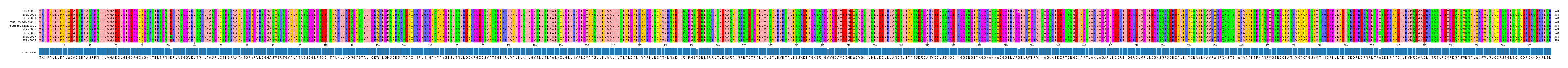 Multiple Alignments (by translate haplotype similarity)