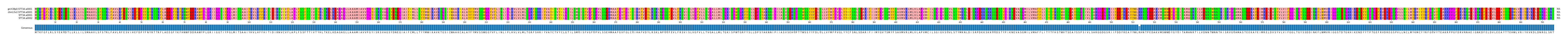 Multiple Alignments (by translate haplotype similarity)