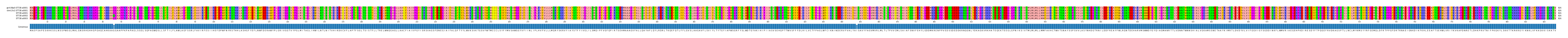 Multiple Alignments (by translate haplotype frequency)