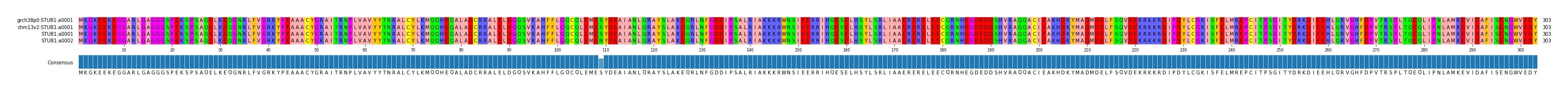 Multiple Alignments (by translate haplotype similarity)