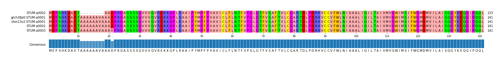 Multiple Alignments (by translate haplotype similarity)