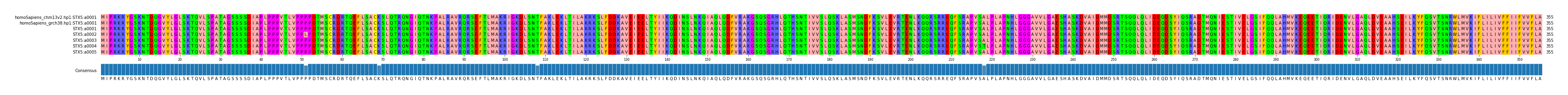 Multiple Alignments (by translate haplotype frequency)