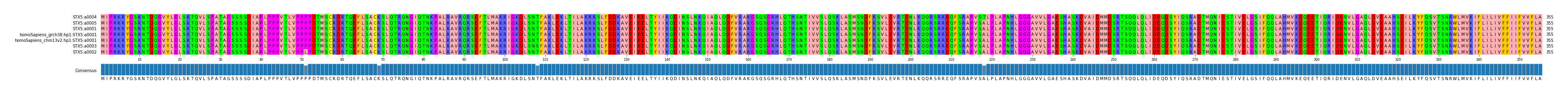 Multiple Alignments (by translate haplotype similarity)