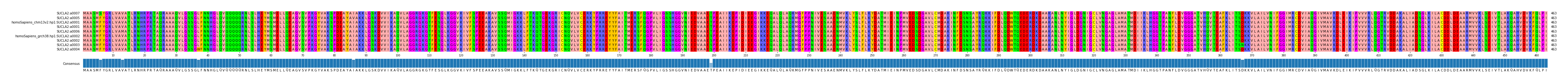 Multiple Alignments (by translate haplotype similarity)