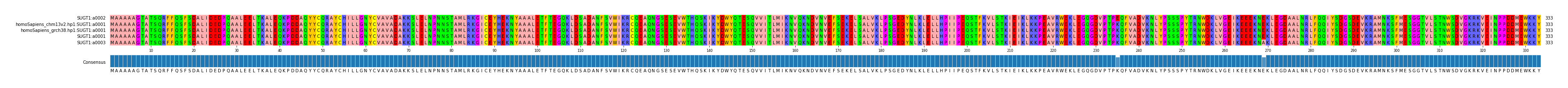 Multiple Alignments (by translate haplotype similarity)