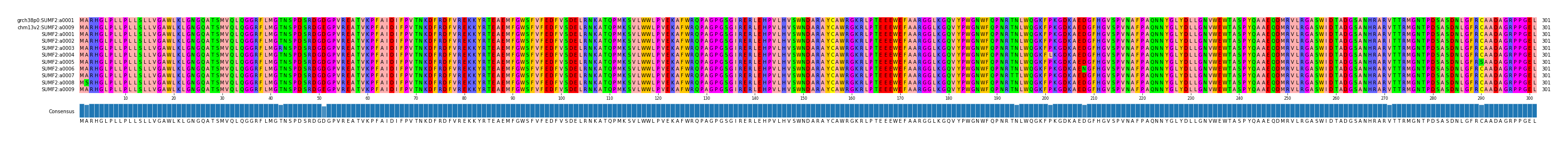Multiple Alignments (by translate haplotype frequency)