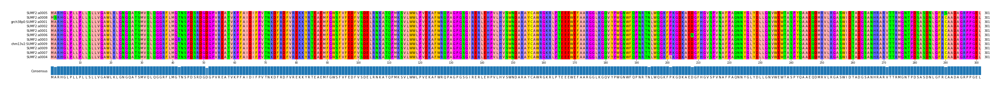 Multiple Alignments (by translate haplotype similarity)